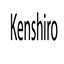 Kenshiro Mod logo