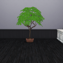King_Zace Cloves Harvestable / translation spanish by Monisims