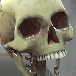 Skeleton Closet SMP