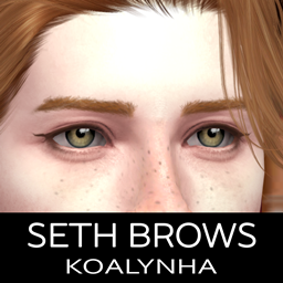 Seth Brows - Eyebrows logo