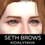Seth Brows - Eyebrows logo