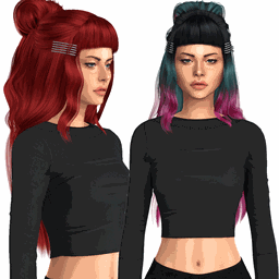 Hairs 498/499 VincentREMADE logo