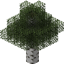 Traversable Leaves [NeoForge] logo
