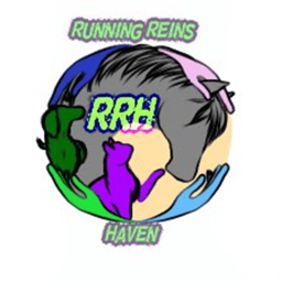 Running Reins Haven project image