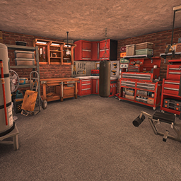 Garage Man Cave / Garage Gym