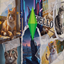 Sim 4 Loading Screen & Main Menu: Soft Paws Bundle logo