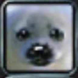PetStatus logo