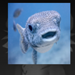 aquaacrobaticslegacy logo