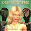 Vilachi DiamondGems Jewellery Set logo