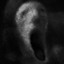 Beyond Fear logo