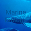 Marine biology logo