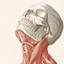 Rapid's Flesh and Bone logo