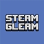 Steam & Gleam logo