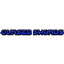 Cursed Swords logo