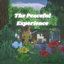 The Peaceful Experience logo