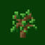 Nanex's Big Forest Biome logo