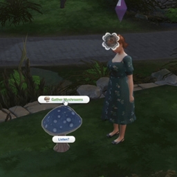Wild Mushrooms by Amethyst-Lilac | Chinese Translation