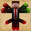 My Servers Collections logo