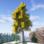 Dynamic Trees - Project: Vibrant Journeys - Pioneer logo