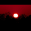 The flesh when the daybreaks logo