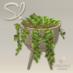 Organic Oasis Hotel Suite Extras- Little Plant Planter 🌿 logo
