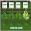 GREEN TEA LEAVES - MATCHA, GYOKURO, SENCHA, LONGJING Harvestable By icemunmun | Chinese Translation logo