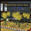 WHEAT GRAIN Harvestable By icemunmun | Chinese Translation logo