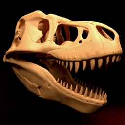 Fossils & Archeology Plus logo