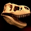 Fossils & Archeology Plus logo