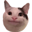 Cobblemon: WeBallin logo