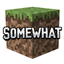 somewhat logo