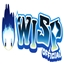 Starlight Sanctuary - The Wisp SMP logo