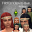 TSM Elf Crown with Hair logo