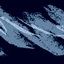 Ocean man, take me by the hand logo