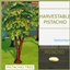 PISTACHIO Harvestable By icemunmun | Chinese Translation logo