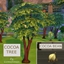 Cocoa Bean Harvestable By icemunmun | Chinese Translation logo