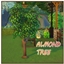 ALMOND Harvestable By icemunmun | Chinese Translation logo
