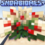 SnowBiomes+ logo