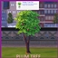 Plum Harvestable By icemunmun | Chinese Translation logo