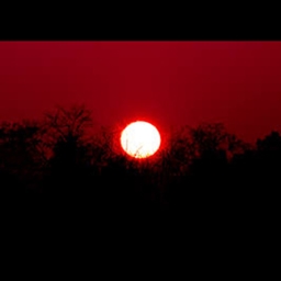 The flesh when the daybreaks lite logo