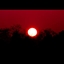 The flesh when the daybreaks lite logo