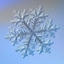 SnowflakeGenerator logo