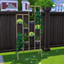 Plant decor recolor logo