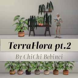 TerraFlora potted plants pt.2 project image