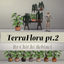 TerraFlora potted plants pt.2 logo