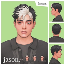 Jason T. Hair Set & Overlay logo