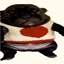 Jay's Cozy Adventure Pack logo