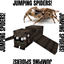Jumping Spiders! logo