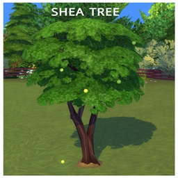 SHEA TREE Harvestable By icemunmun | Chinese Translation