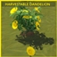 DANDELION Harvestable By icemunmun | Chinese Translation logo